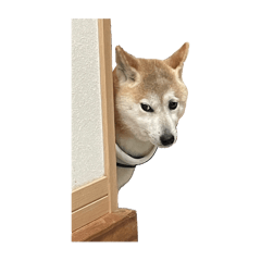 m_20250816165800
