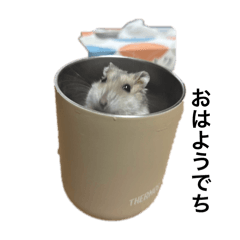 MIZUKI_20250815234903