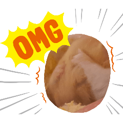 Nozomi_20250816155435