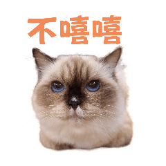 Tan啊成功吧