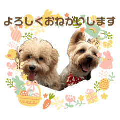 asuka_20250816094724