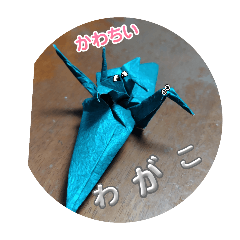 sugar_20250816101514