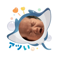 chico_20250816140115