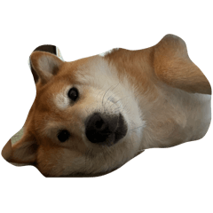 Ketty_20250816194754