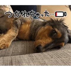 haruna_20250816195152