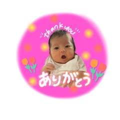 shio_20250816195305