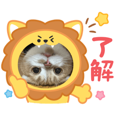 Nagisa_20250816211215