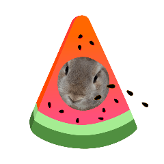 misaki_20250816211622