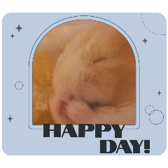 Nozomi_20250816160728