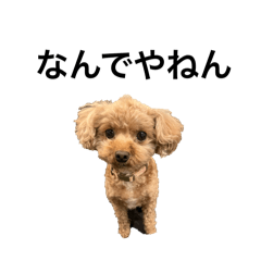 Tuchman_20250816124853