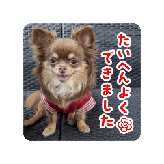 Sakura_20250816124315