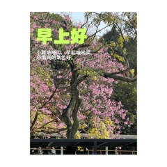 0816隨便做