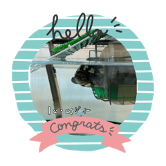 Sachi_20250816182041