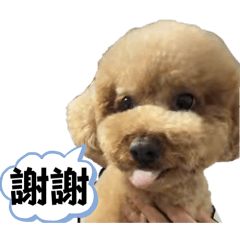 地獄惡犬VISA 3.0