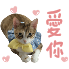 我的小耶比比比比