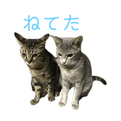 kA_20250816131537