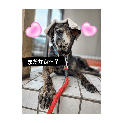 yuka_20250816214344