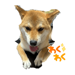 yuka_20250816214934