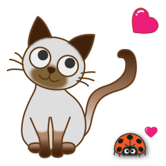 A cute Siamese Cat by Masayumi
