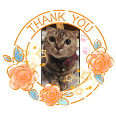 nagisa_20250816225722