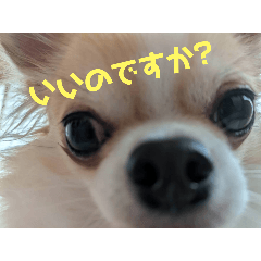 NATSUMI_20250816230946