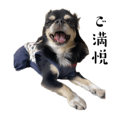 uniko_20250816213712