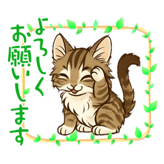 『メインクーン』のスタンプ