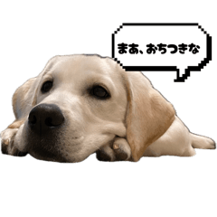 EMI_20250816185937