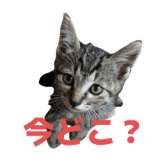 shizuku_20250816185032