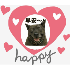 棉花糖老女孩黑吉的日常