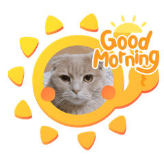 kinako_20250816190636