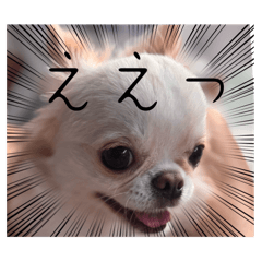 Motz_20250817111438