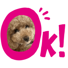 nokko_20250817112719