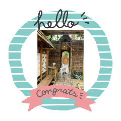 chart_20250817072532