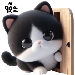 แมวขาวดำจอมซน