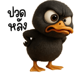 Grumpy Black Duck