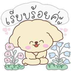 Kanoon cute dog:everyday use