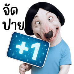 Am I a human or a dog? (BIG)