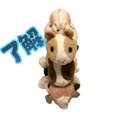 hamuhamu_20250815201357