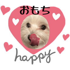 omochi_20250817121146