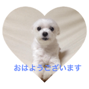 Sakulucky