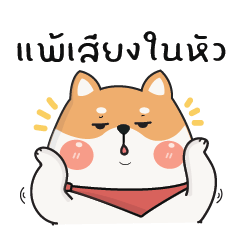 Shiba dog cute : work mode