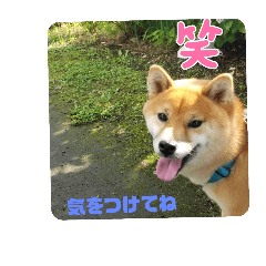yuka_20250817124236