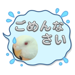 mirei_20250817191141