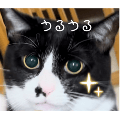 natsu_20250817220027