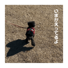 Let us talk with Portan