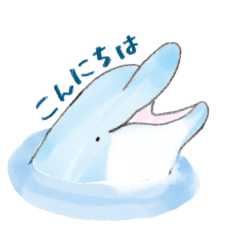 dolphin day