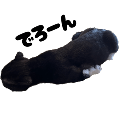 sarah_20250816205256