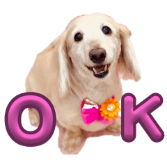 daisy_20250816210457