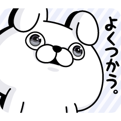 うさぎ100% よくつかう。